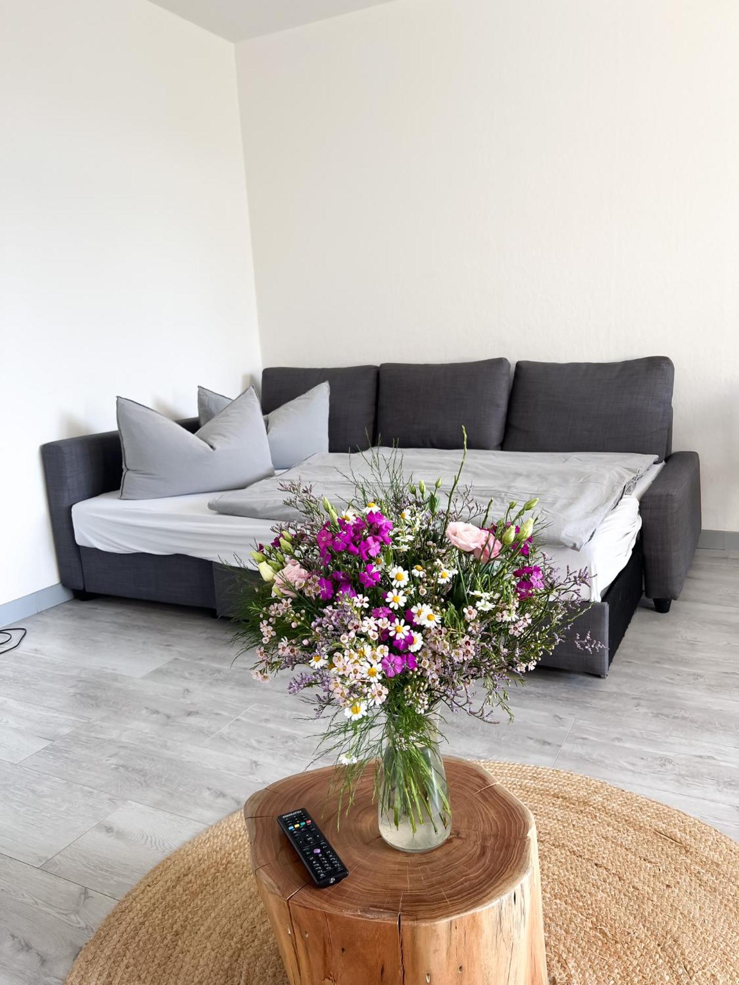 Apartment Suennanbeter Mit Pool Fuer 2-4 Personen Даме Екстериор снимка